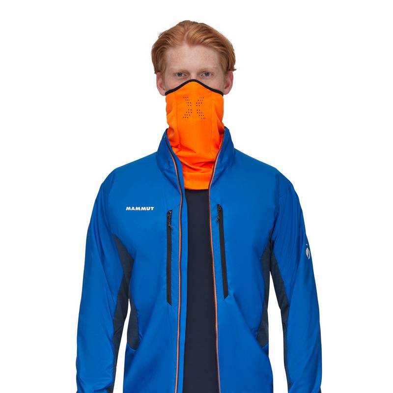 Mammut Eiswand Stirnband