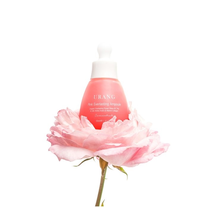 Pink Everlasting Ampoule