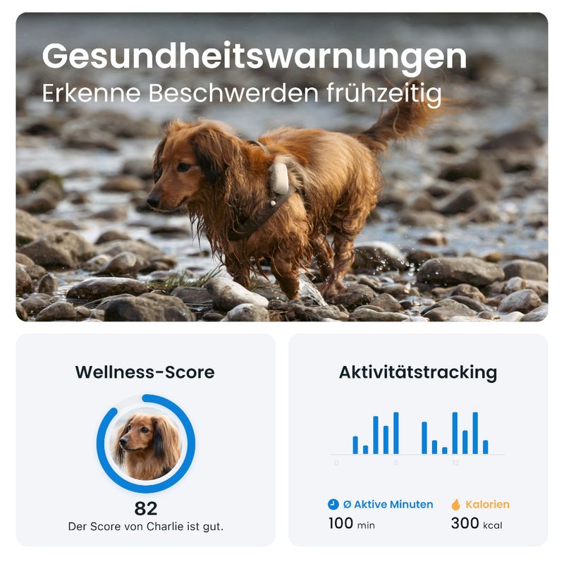 Tractive GPS Tracker für Hunde zu TOP-Preisen