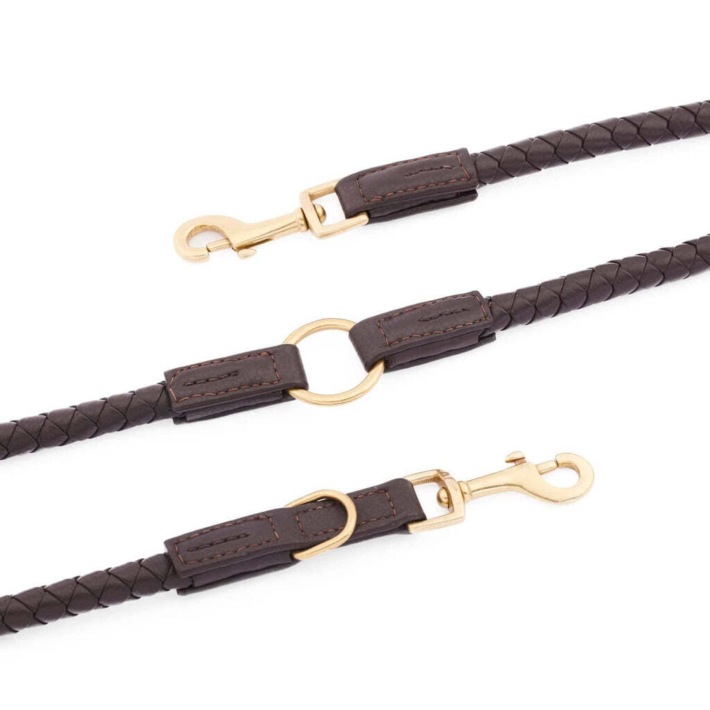 William Walker Hundeleinen William Walker Hundeleine Twisted Earth S-L