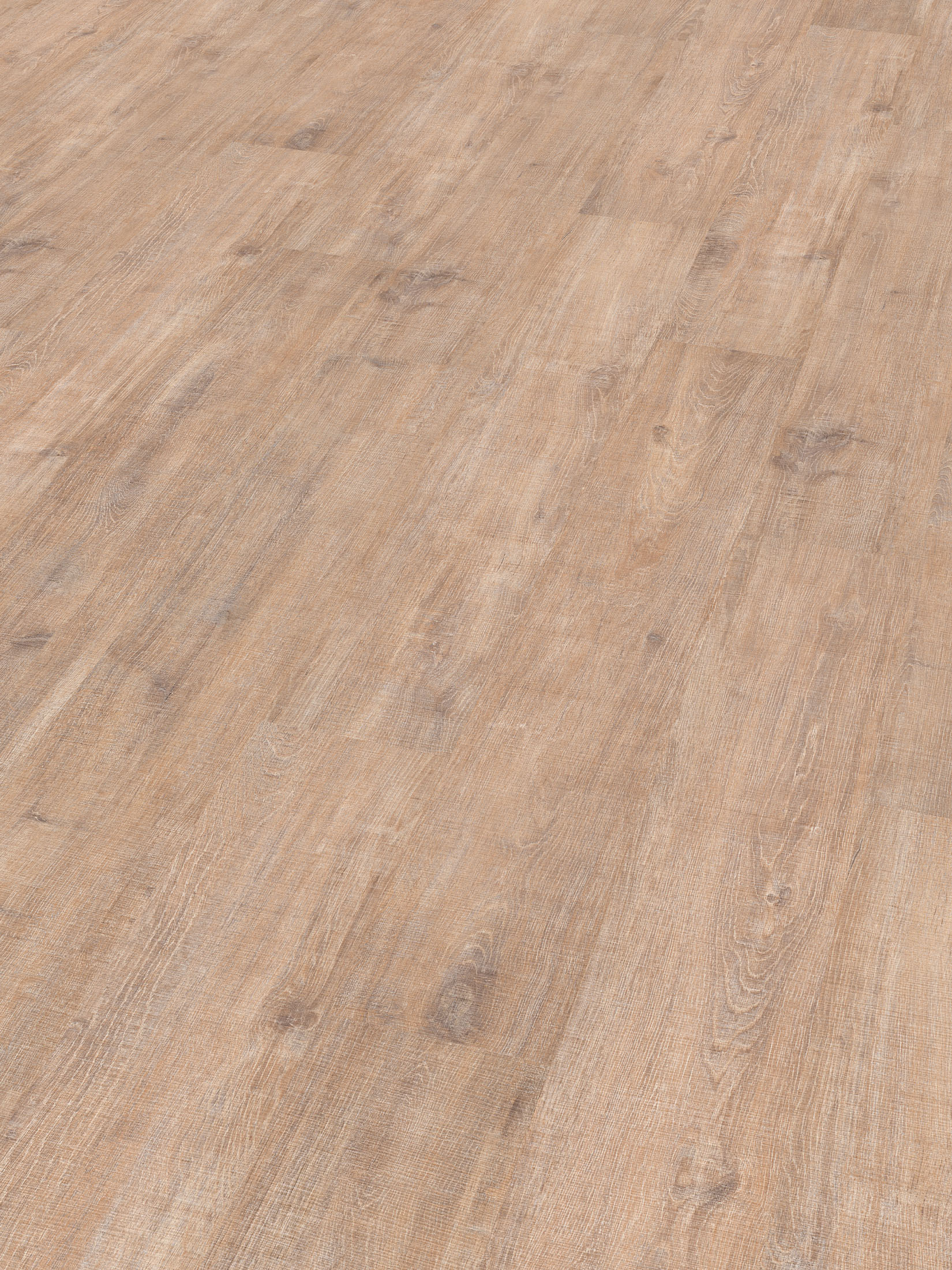 Fasnia Klick-Laminat, Eiche Modern LHD