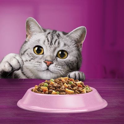 Whiskas 1+ Sterile Huhn