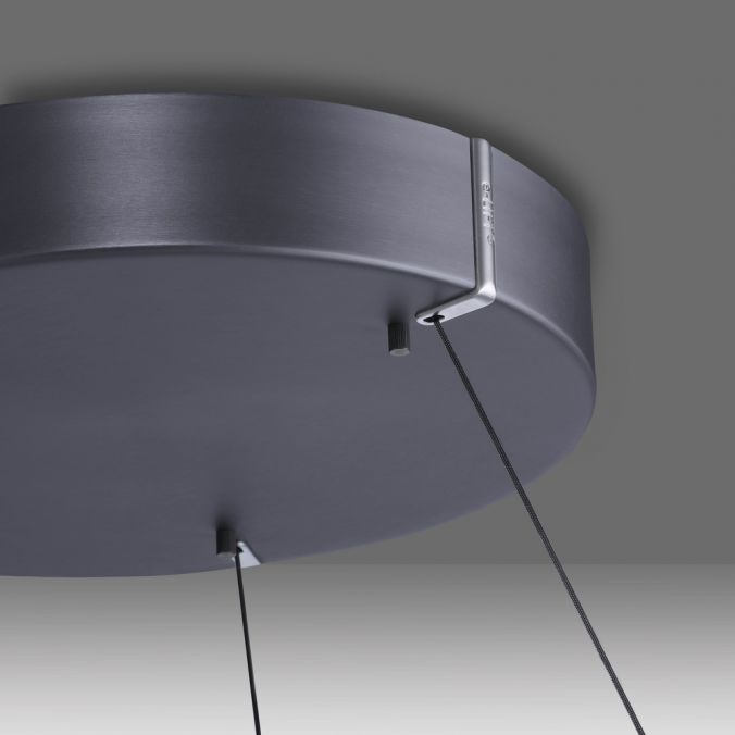Paul Neuhaus LED Pendelleuchte E-Loop