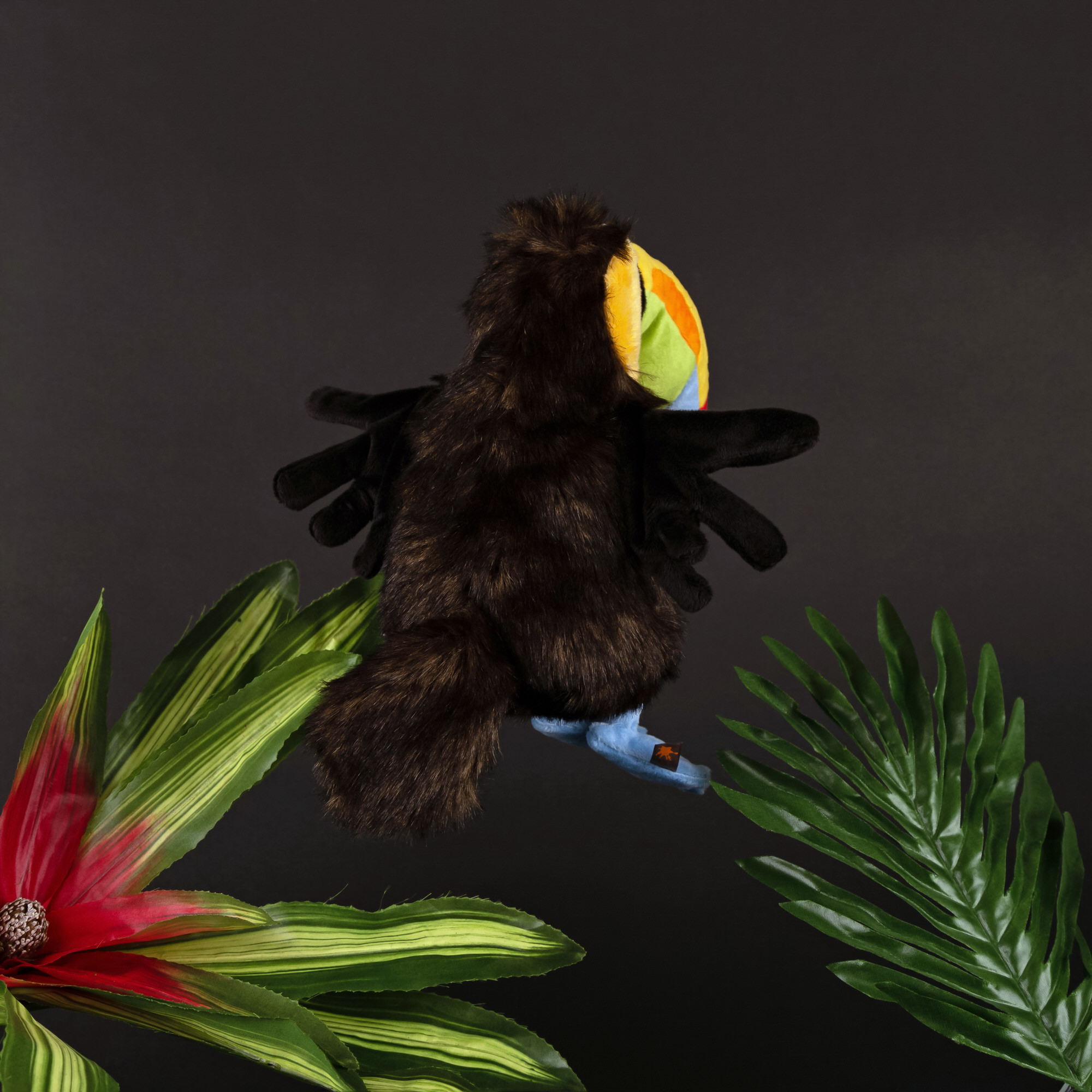 Kuschelvogel Chakka Tukan, Kikeriki