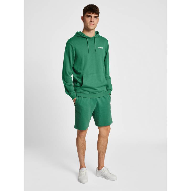 hummel hmlLGC GABE HOODIE Hoodie Herren