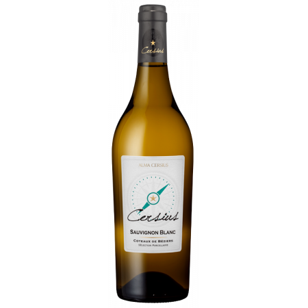CERSIUS BLANC - SAUVIGNON 2022 - ALMA CERSIUS
