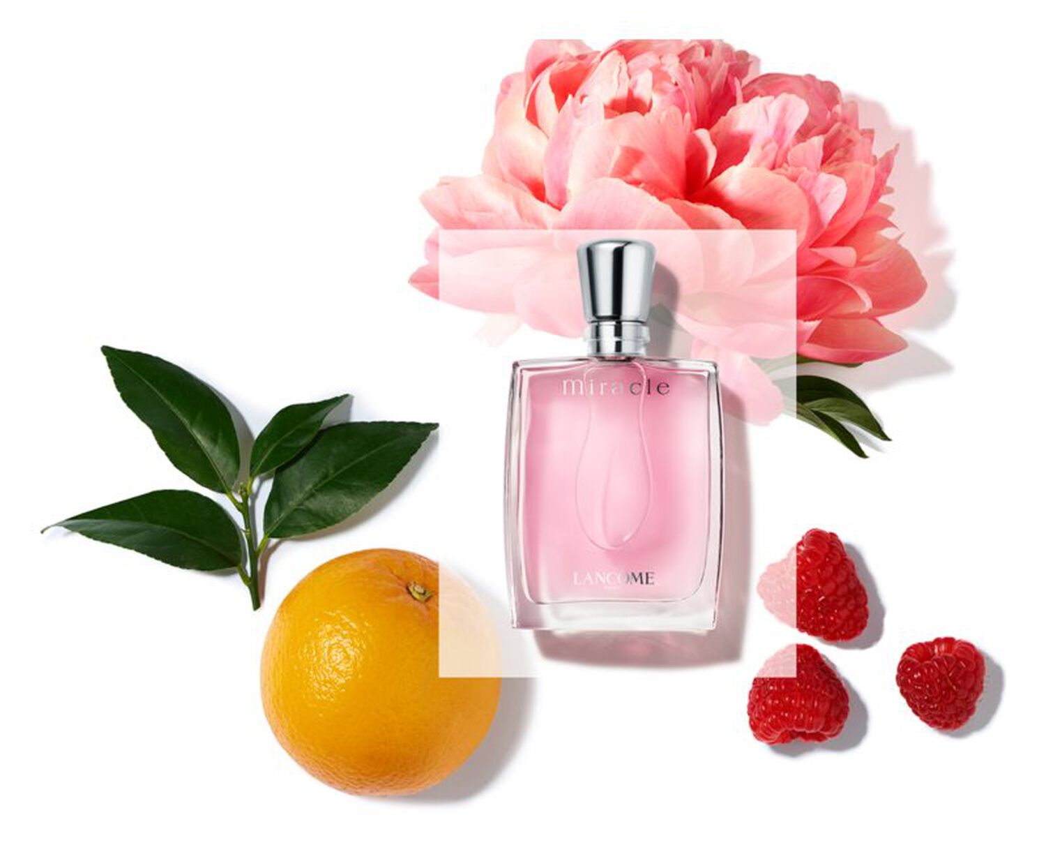lancôme Miracle Eau de Parfum