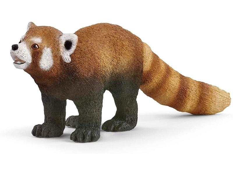Panda roux