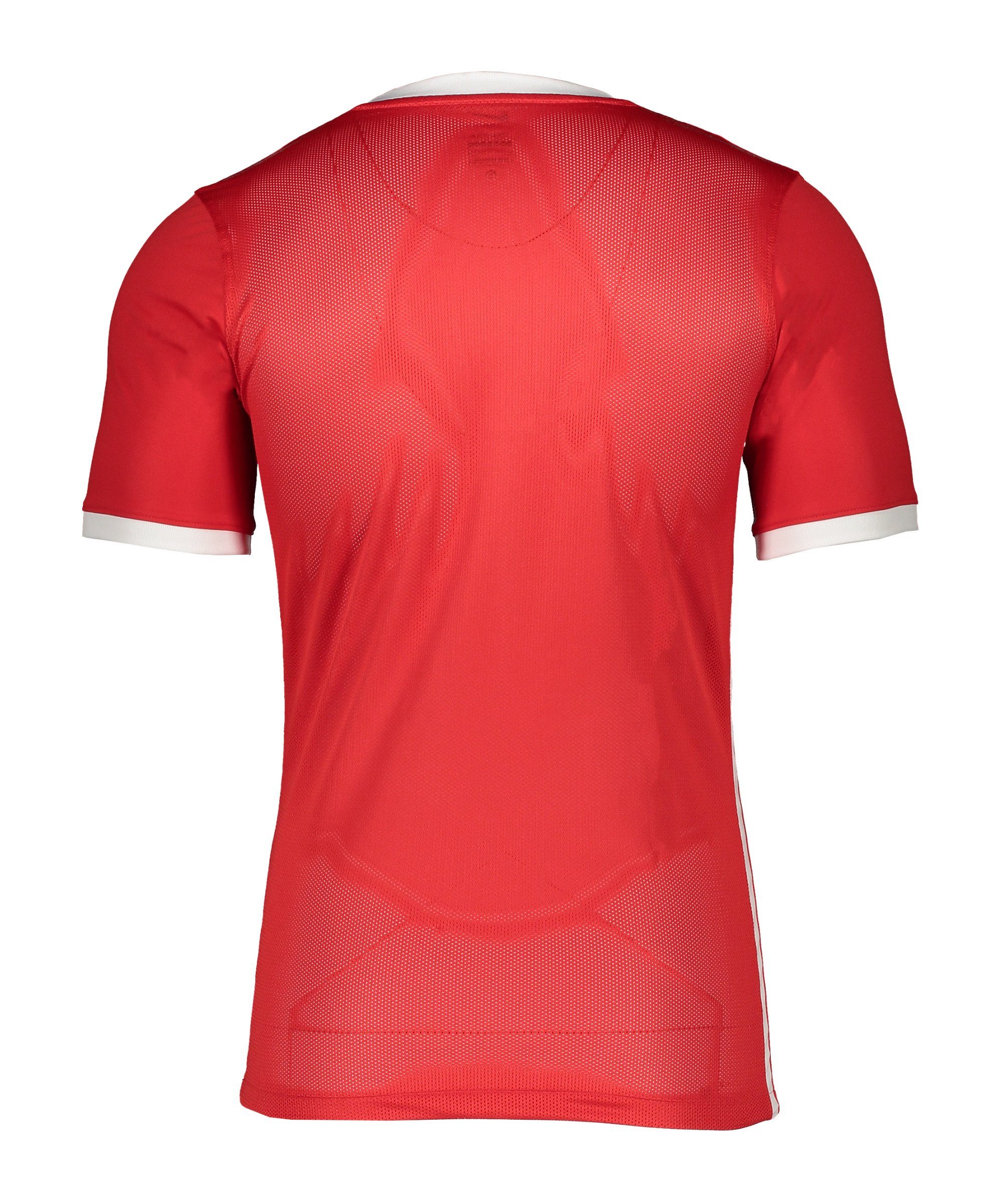 Nike Fußballtrikot Challenge IV Trikot Kids