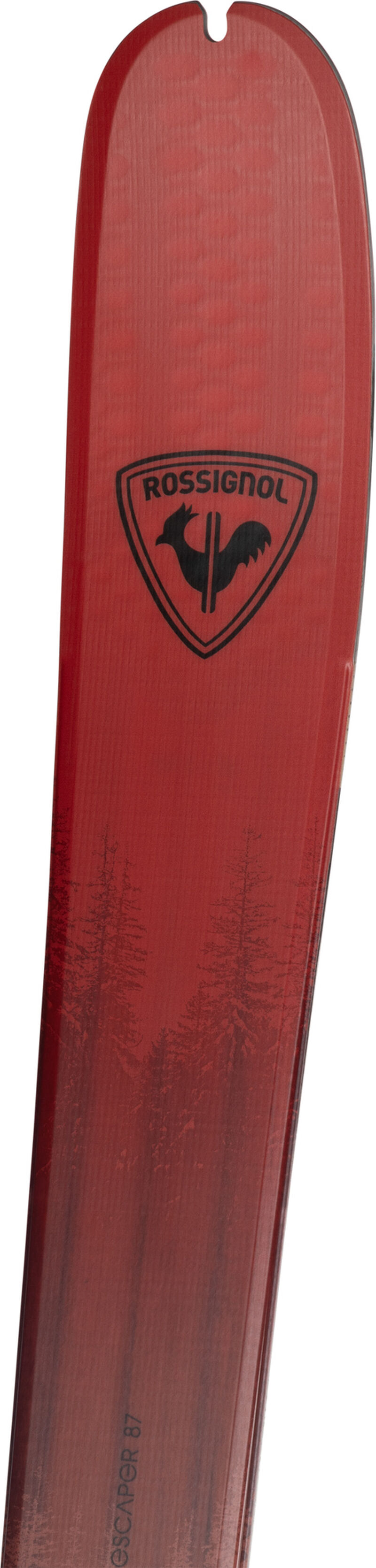 HERREN Touring Skier ESCAPER 87 OPEN