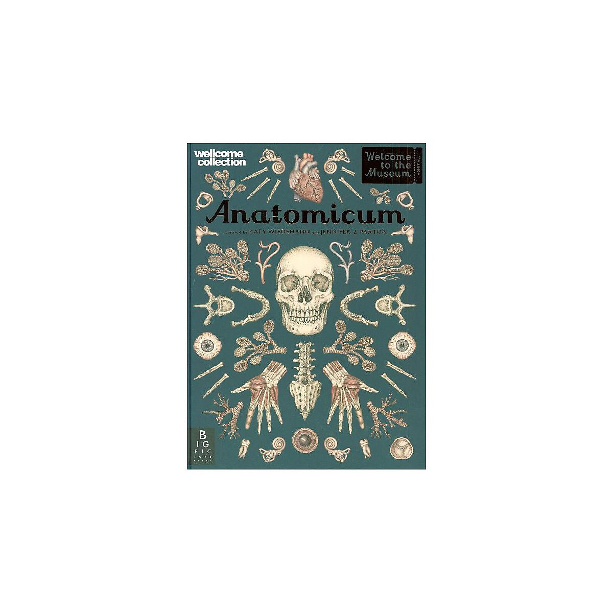 Anatomicum