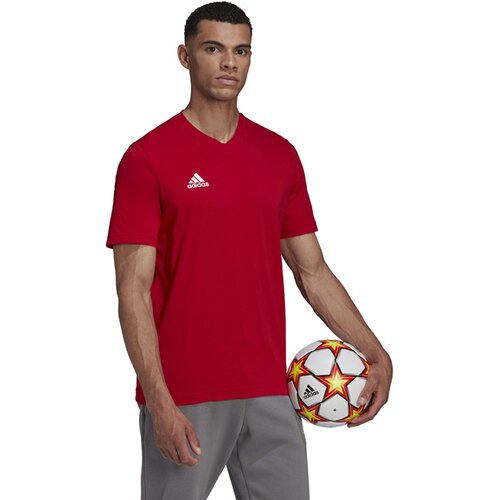 HERREN FANSHIRT ENTRADA 22 (NORMAL & LANG)