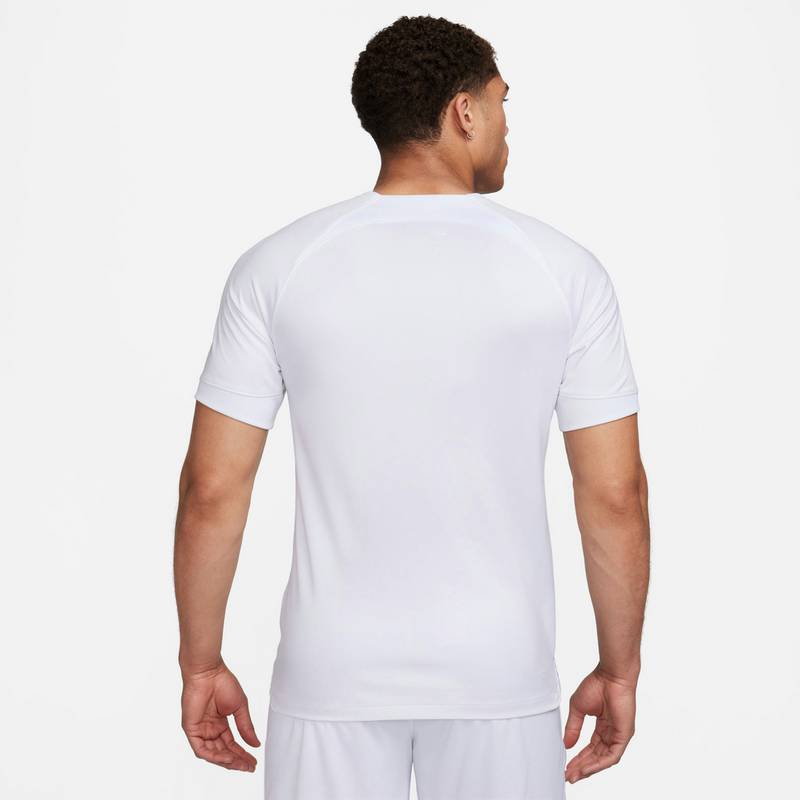Nike Inter Mailand 23-24 Auswärts Teamtrikot Herren