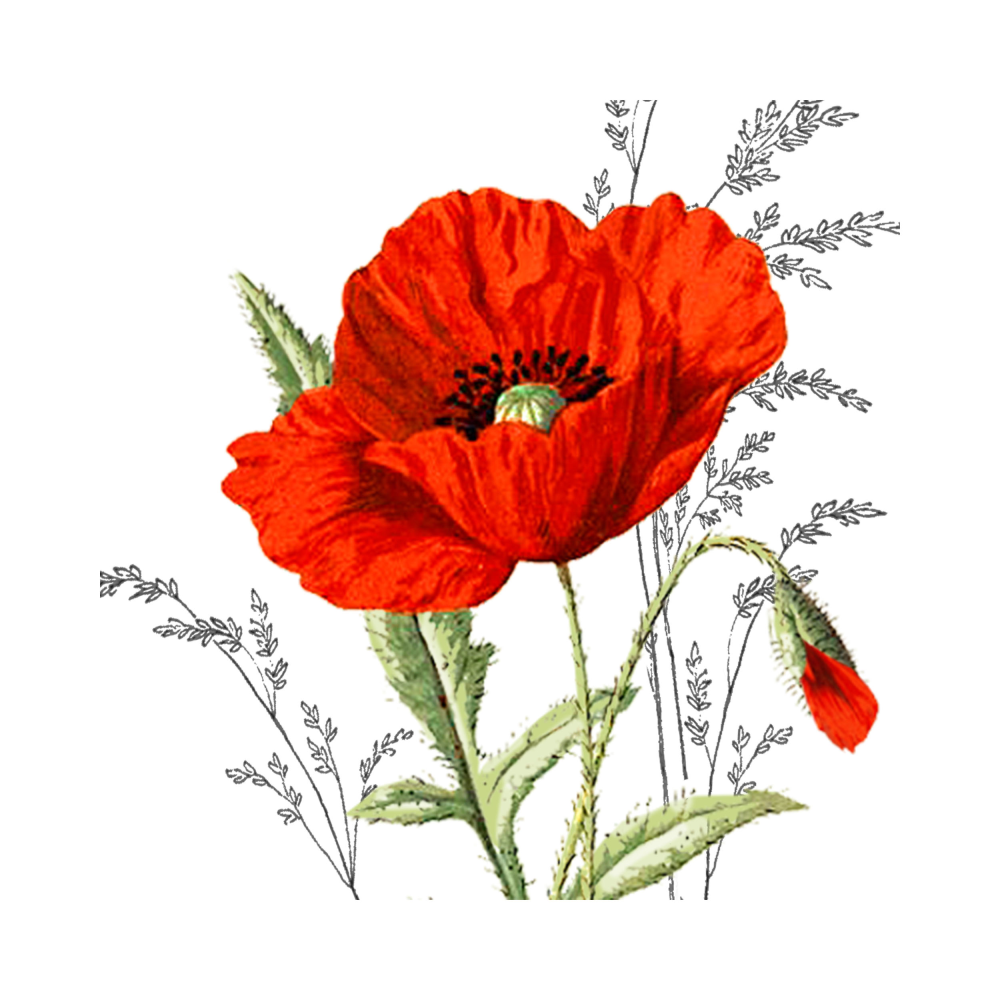 Servietten Partytime Roter Mohn