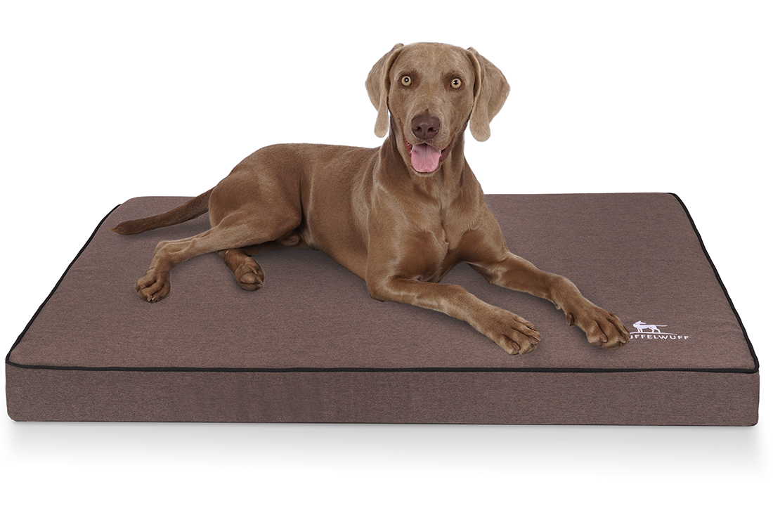 Knuffelwuff Hundematten Knuffelwuff Orthopädische Hundematte Nantucket aus Velours mit Handwebcharakter braun XL