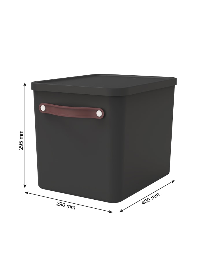 Rotho Set Inbox   Archivbox MY PAPER Plus günstig kaufen onesize