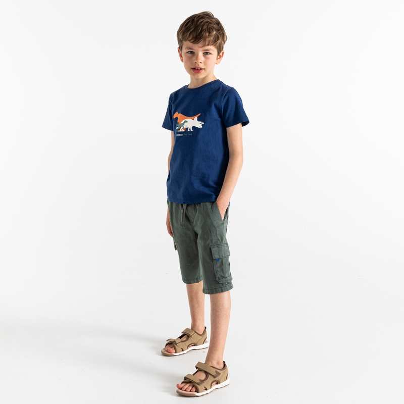 T-shirt motif dinosaures bleu garçon