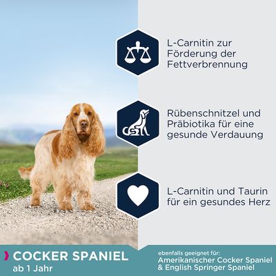 Eukanuba Adult Breed Specific Cocker Spaniel