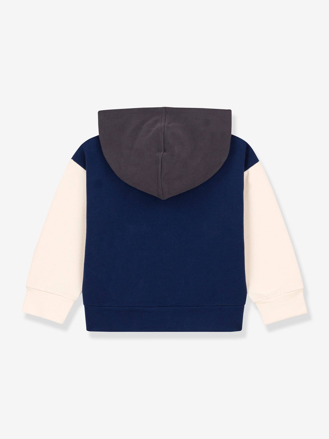 Sweat à capuche molleton enfant coton bio PETIT BATEAU bleu