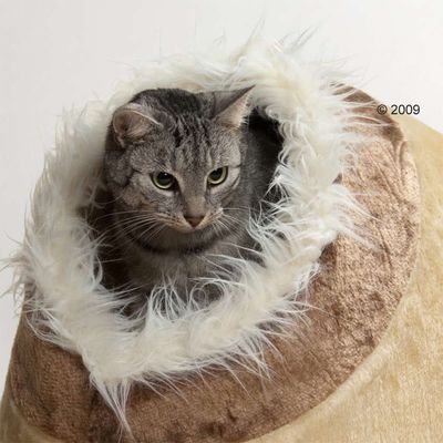 Trixie Kuschelhöhle Minou