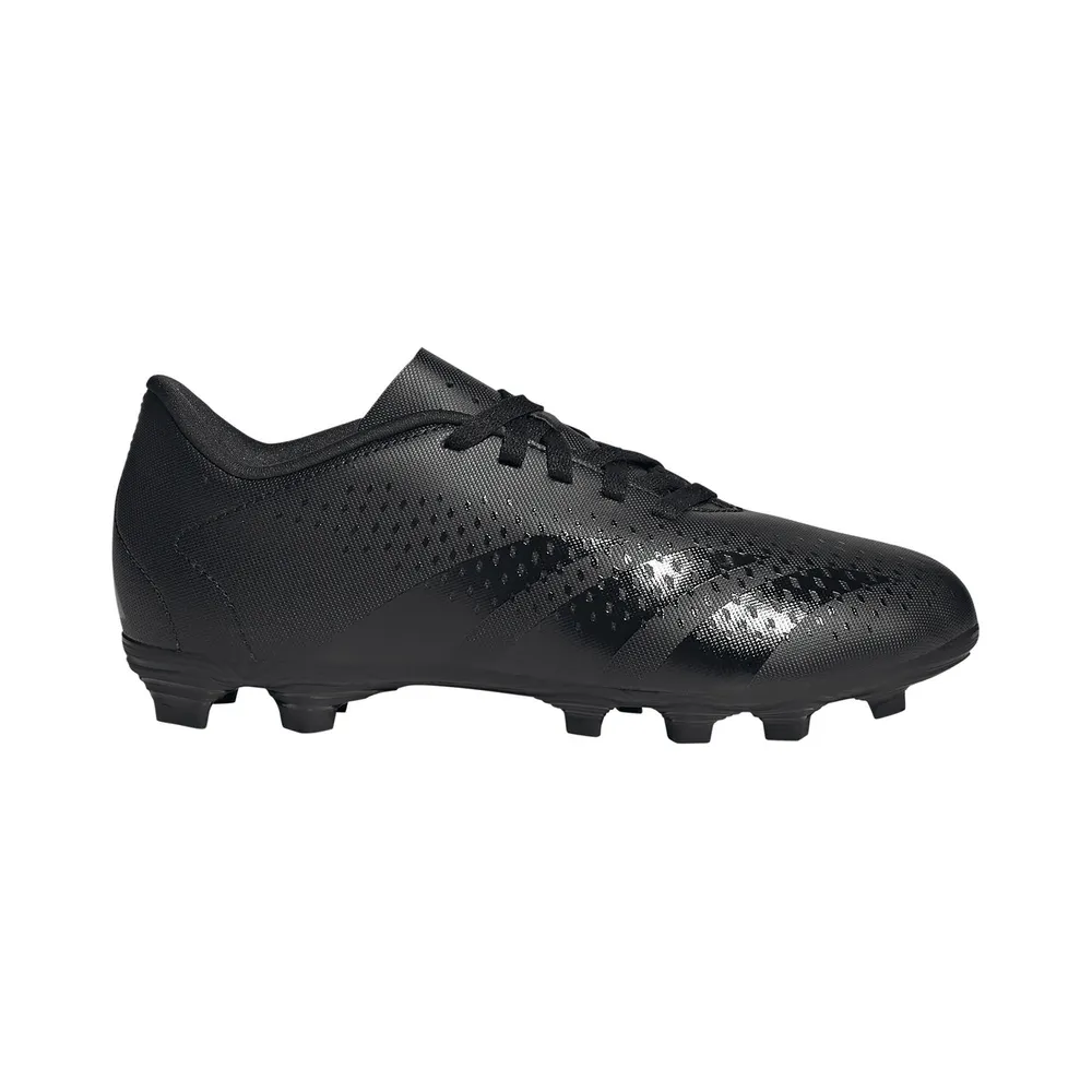 adidas Predator Accuracy.4 FxG FG HQ0950 / schwarz