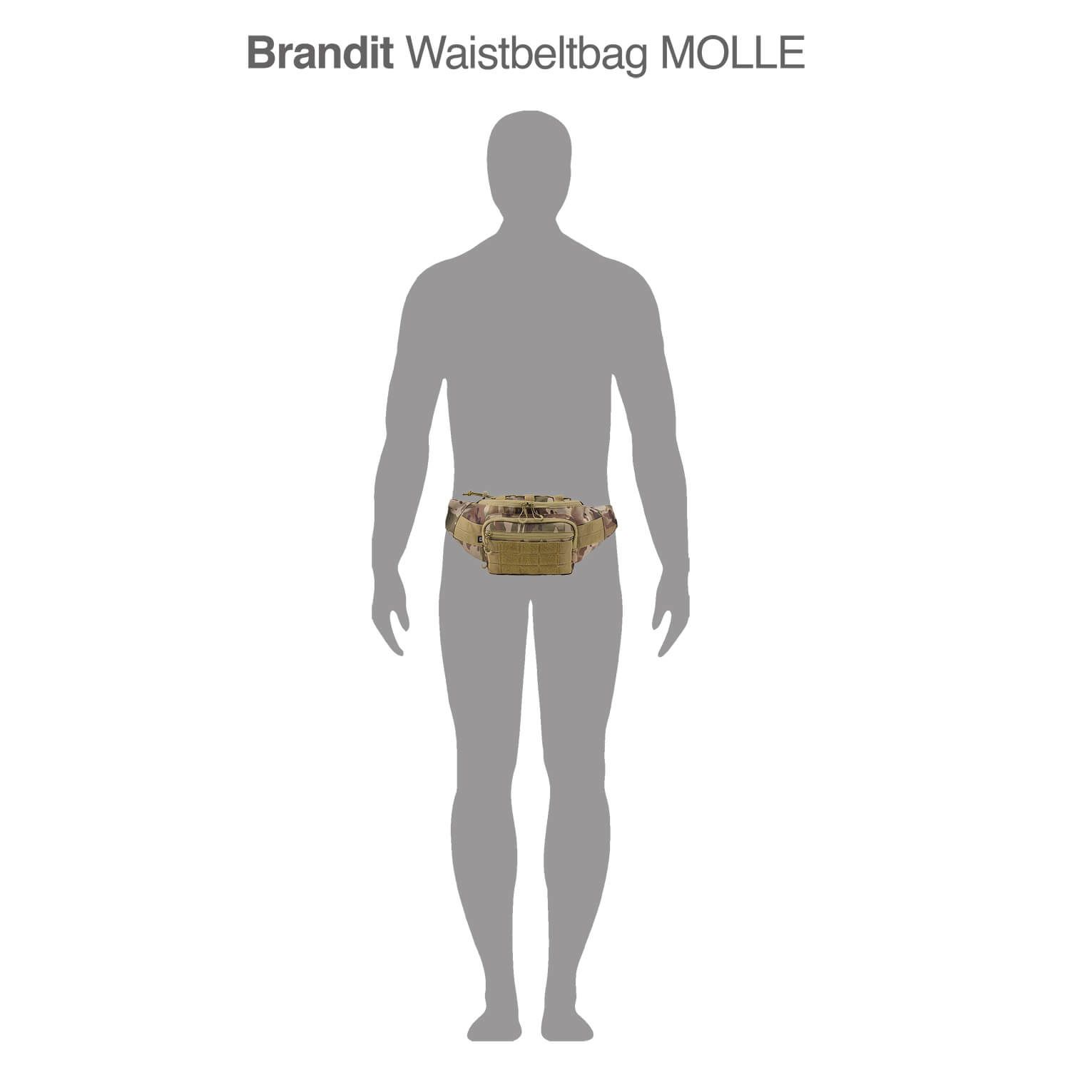 Waistbeltbag Molle
