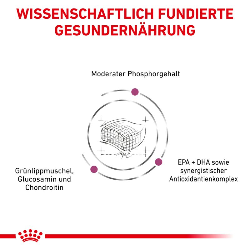 Royal Canin Veterinary Feline Early Renal zu TOP-Preisen | bitiba