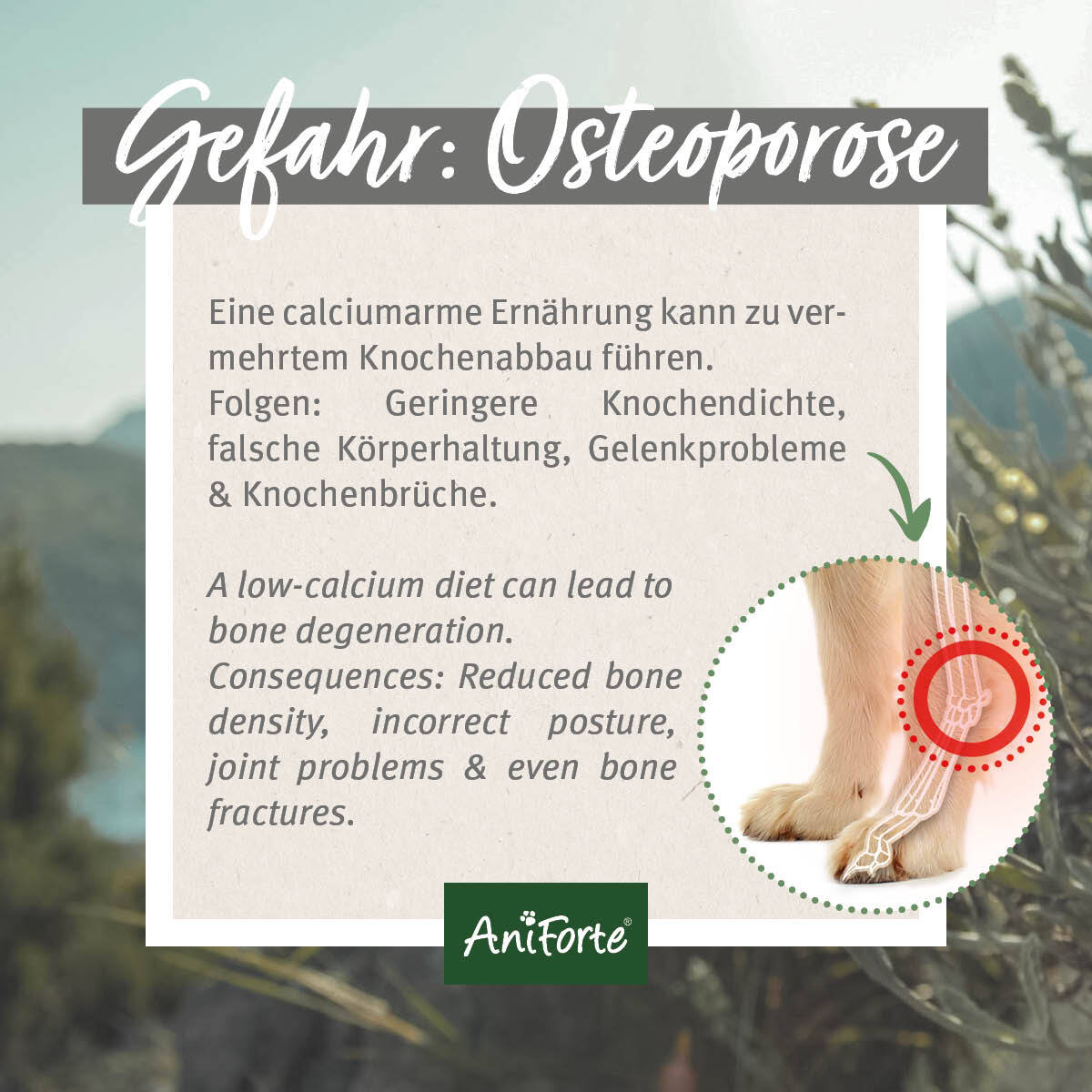 Aniforte Ergänzungsfutter & Aufzucht Aniforte BARF-Line Gemahlene Knochen vom Rind 1 kg