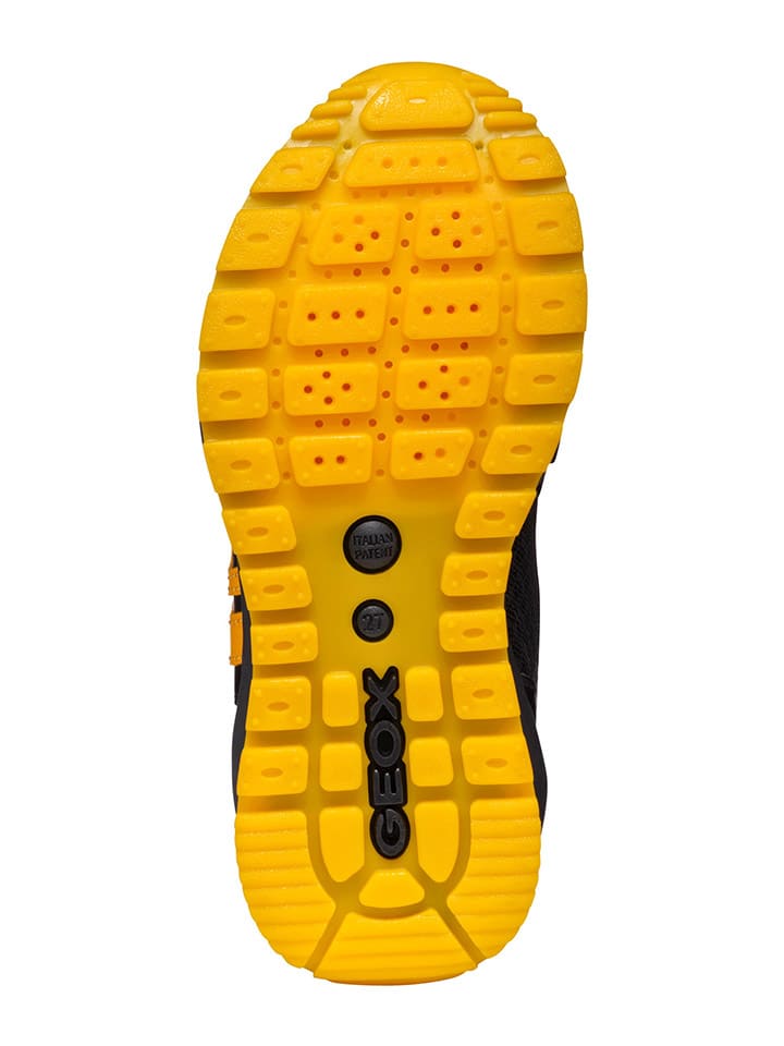 Geox Sneakers 