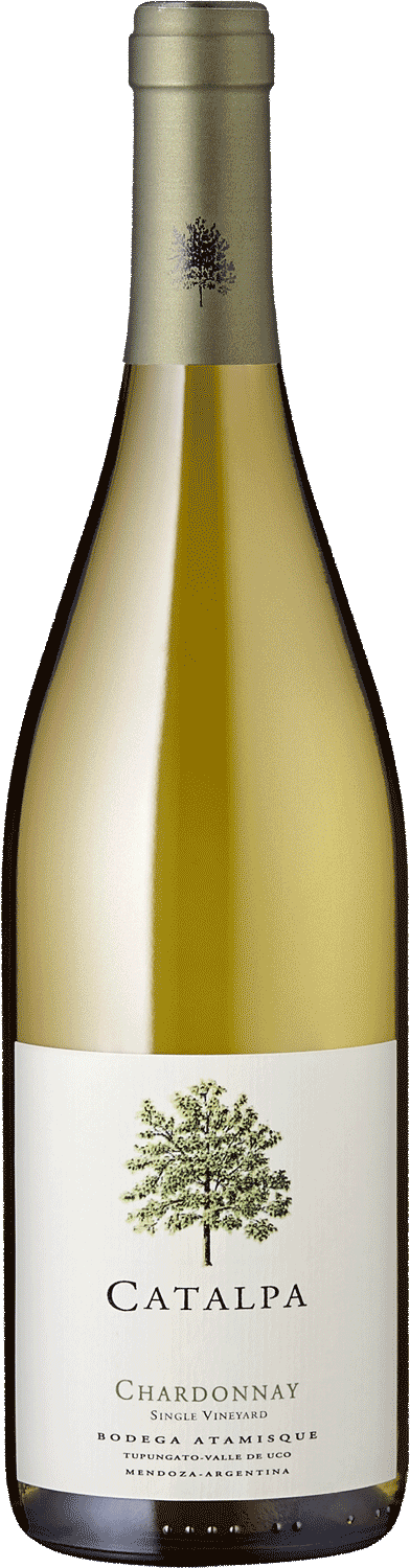 Bodega Atamisque 
