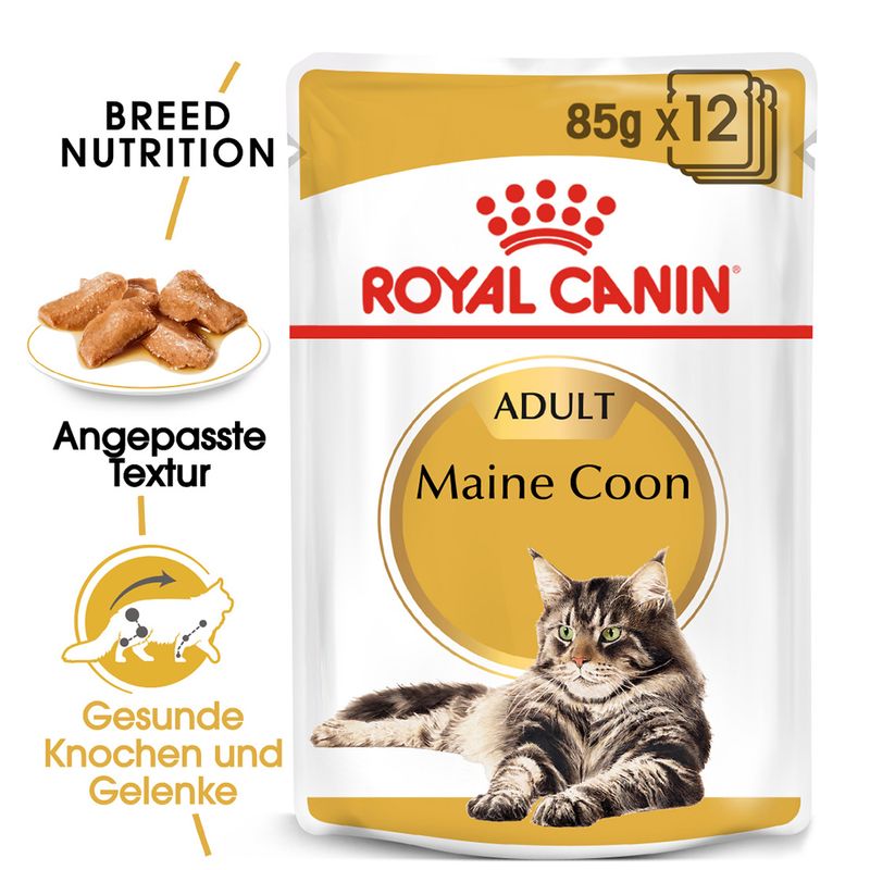 Royal Canin Maine Coon Adult in Soße