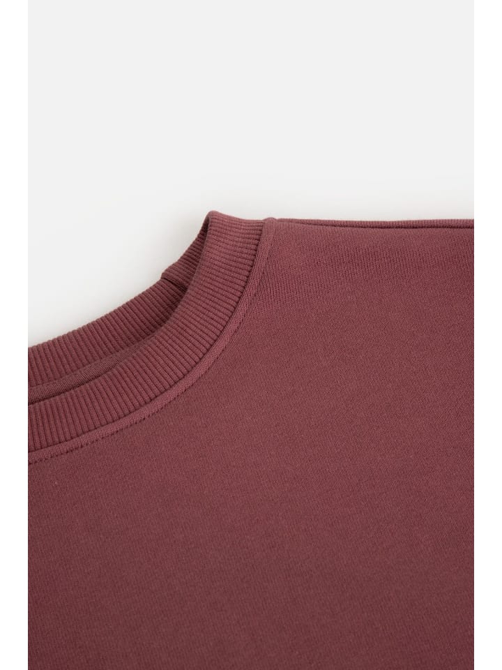 Coccodrillo Sweatshirt in dunkelrot günstig kaufen 158