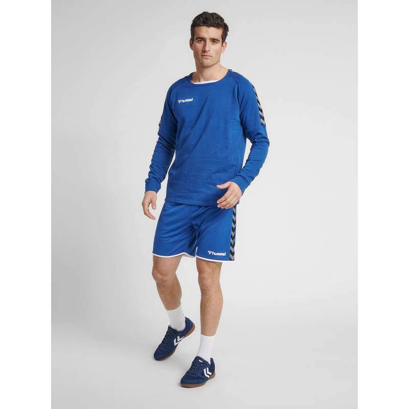 hummel hmlAUTHENTIC TRAINING SWEAT Sweatshirt Herren