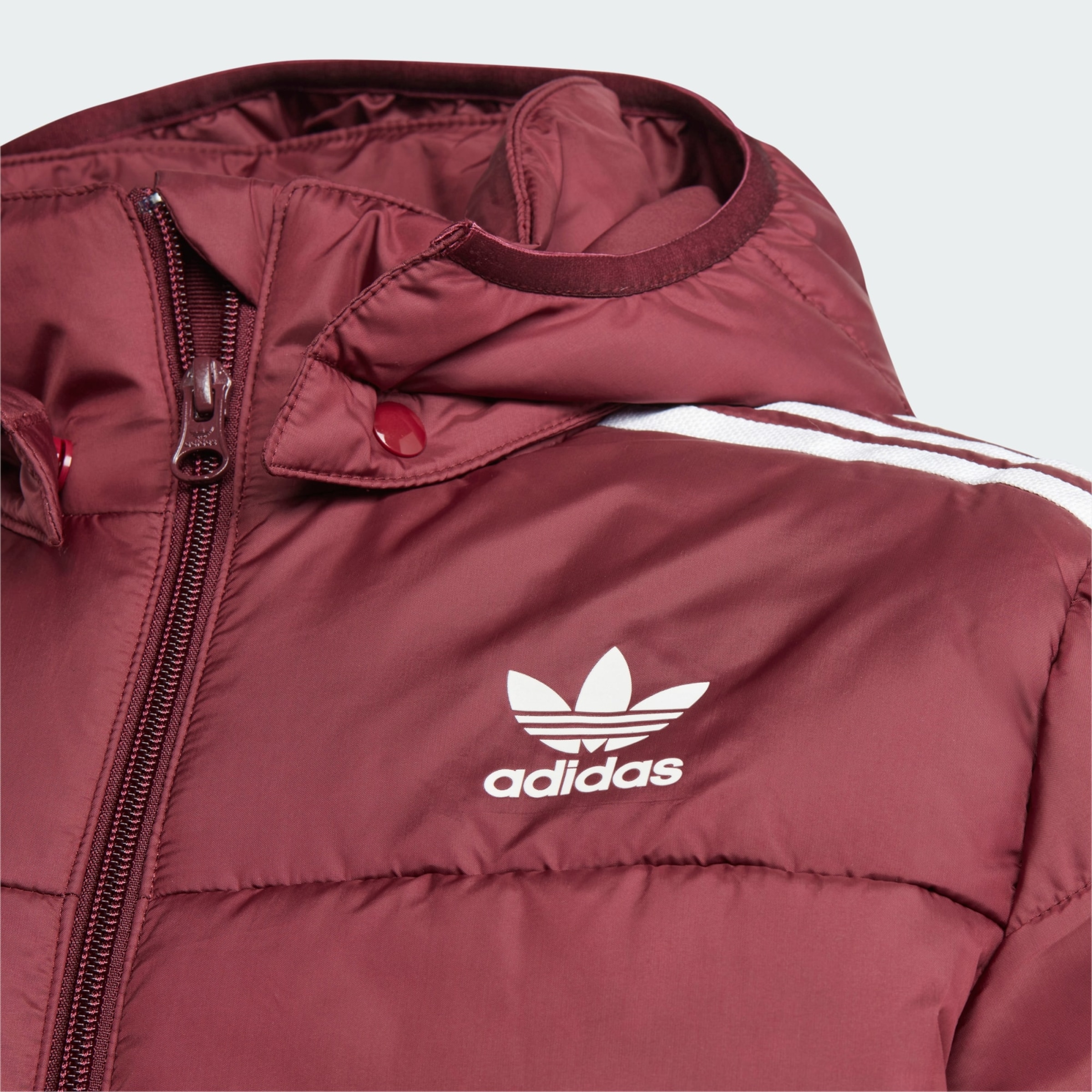 Winter Jacket 'Adicolor'
