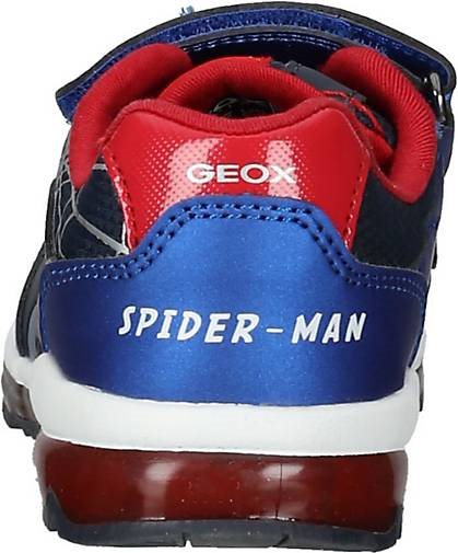 Geox Sneaker