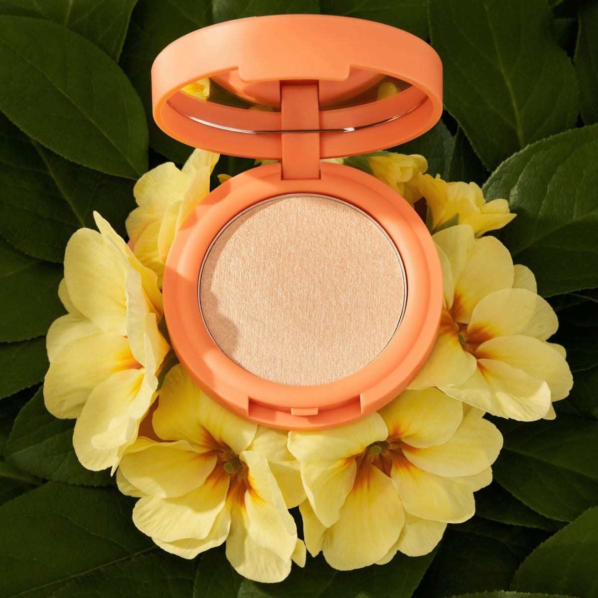 Highlighter Cream-To-Powder Seeking Flowers C02 Apriglow, 5,5 g