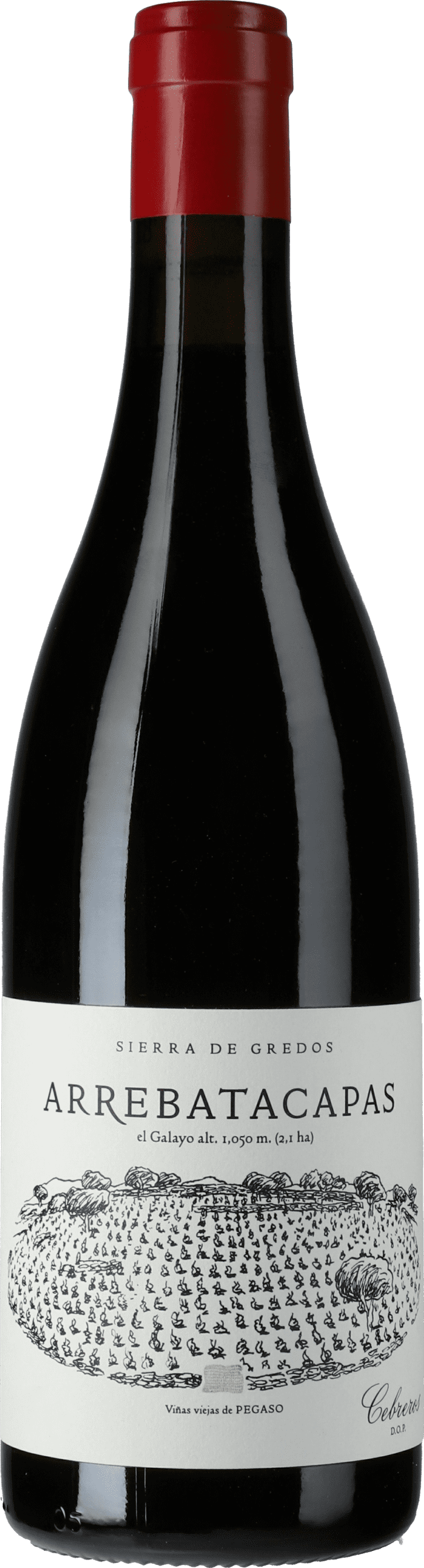 Pegaso Vinas Viejas - Telmo Rodriguez: Arrebatacapas Sierra de Gredos Garnacha 2020