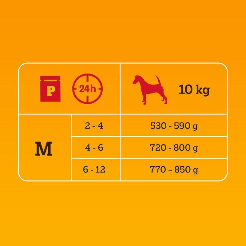 Pedigree Junior Frischebeutel Multipack