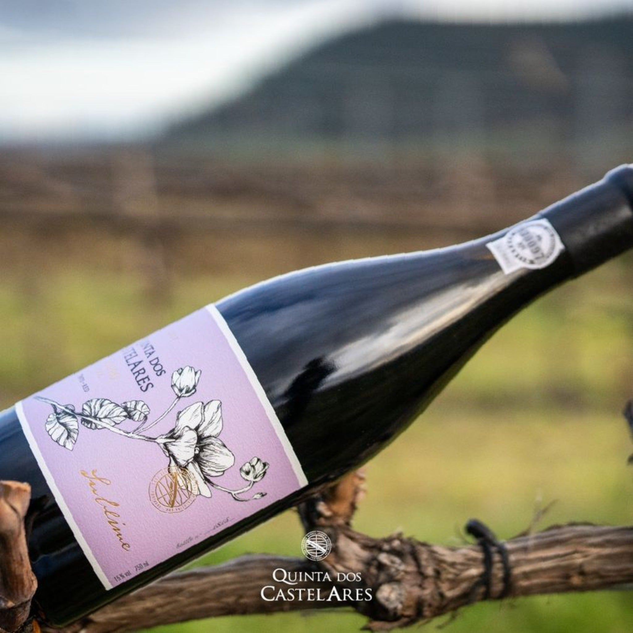 QUINTA DOS CASTELARES SUBLIME ROTWEIN 2017