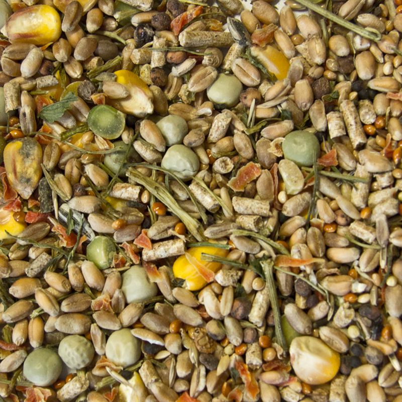 Mucki Zwerghamster Menü Multi Mix zu TOP-Preisen