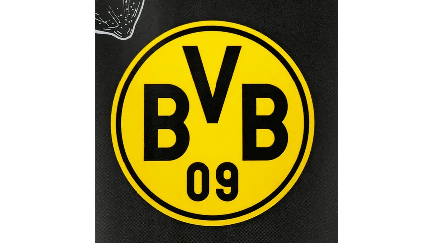 BVB-2in1-Duschgel 200 ml