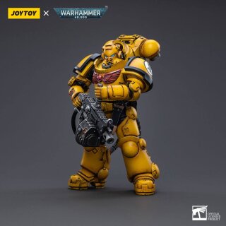 Warhammer 40k Actionfigur: Imperial Fists Heavy Intercessors 01