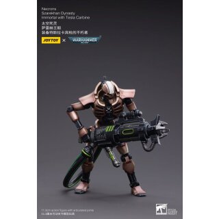 Warhammer 40k Actionfigur: Necrons - Szarekhan Dynasty Immortals with Tesla Carbine (2er-Pack)