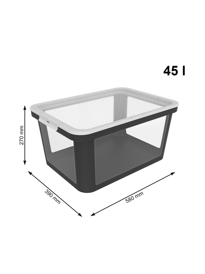 Rotho Albris Aufbewahrungsbox 45l mit Deckel, Kunststoff (PP recycelt) in Schwarz günstig kaufen onesize