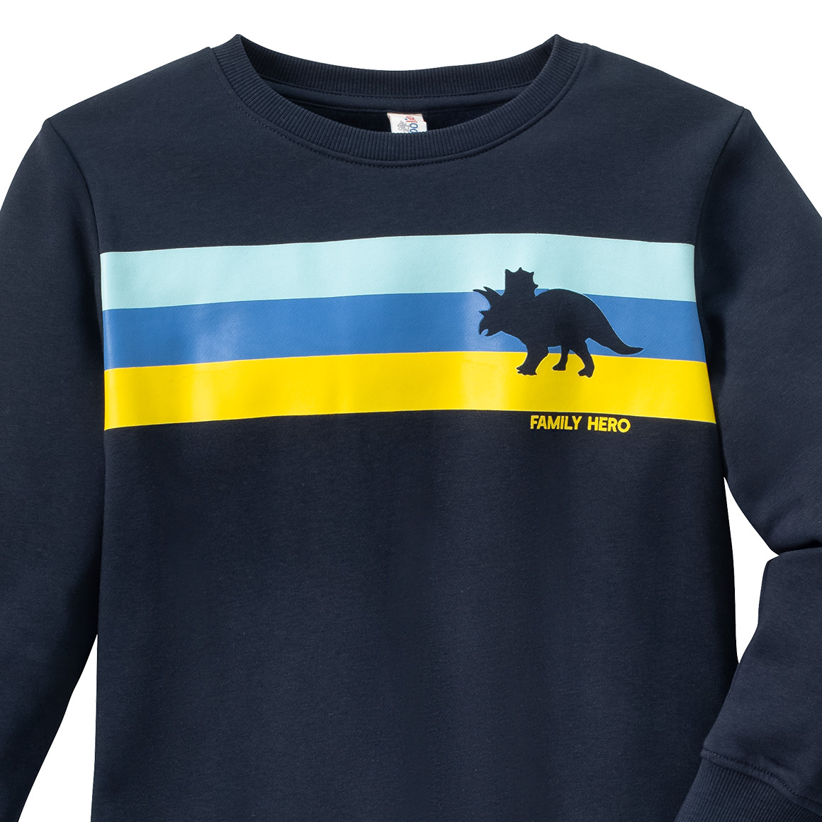 Jungen Sweatshirt mit Dino-Motiv