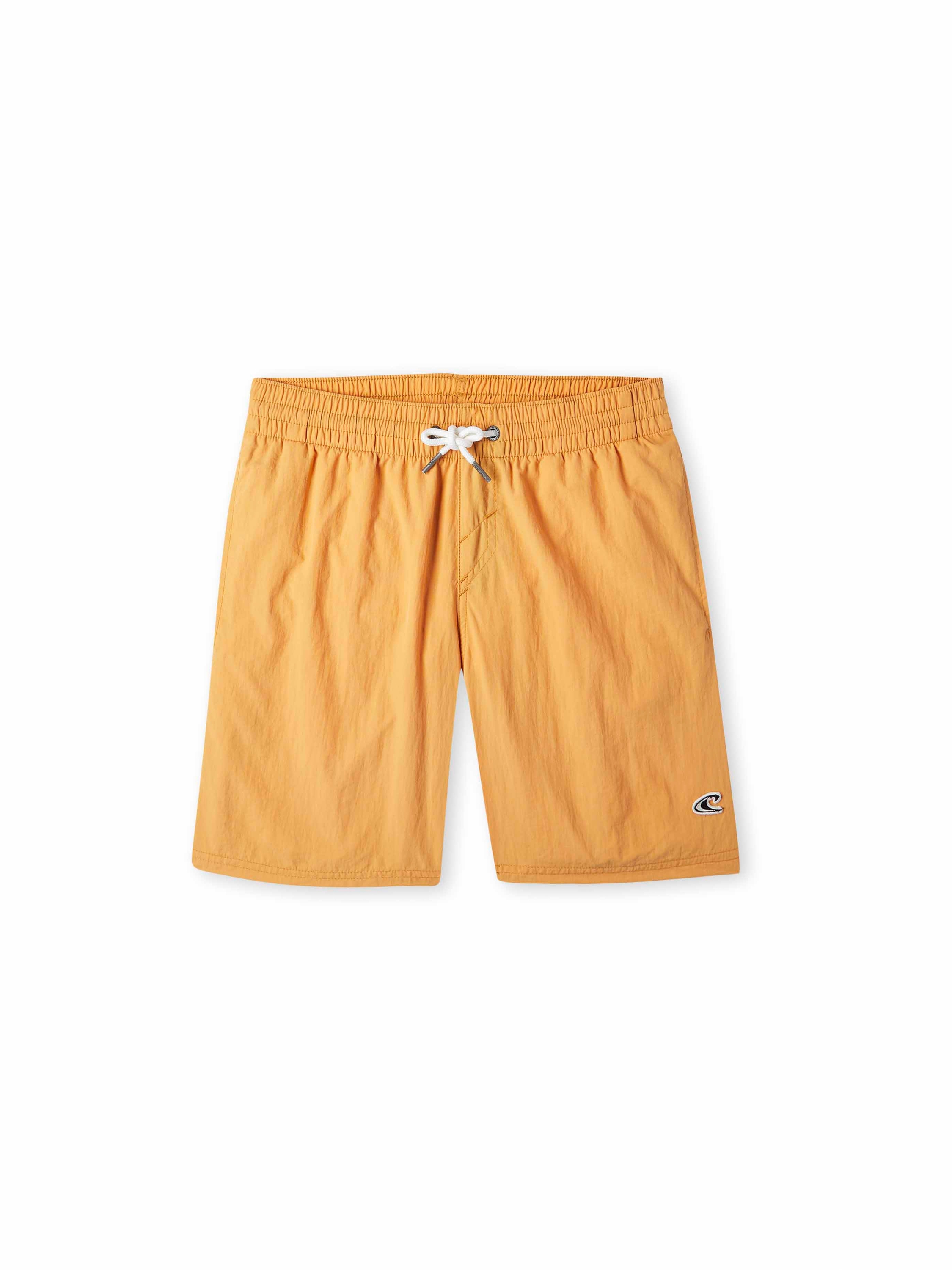 Board Shorts 'Vert'