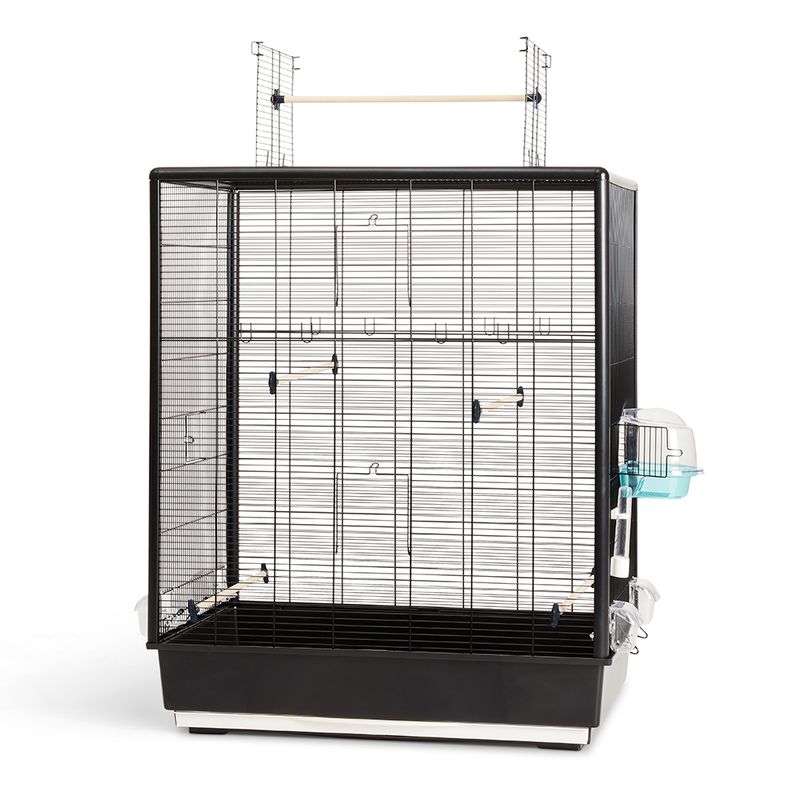 Savic Primo 60 Open Empire zu TOP-Preisen