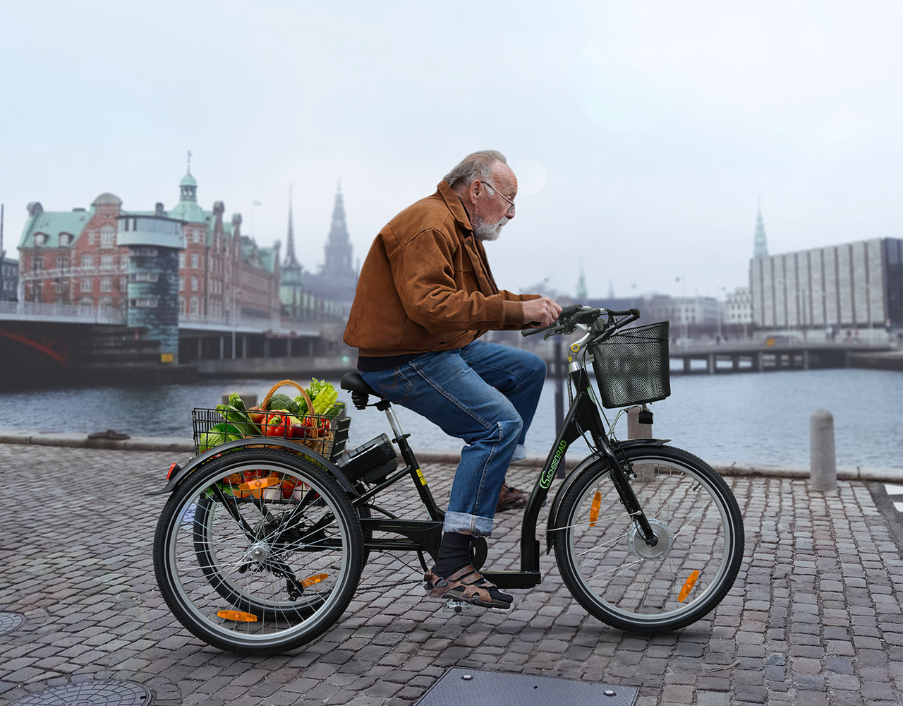 SachsenRad SachsenRad Lastenrad Dreirad T3A Trio mit Alarmanlage, Klapprad