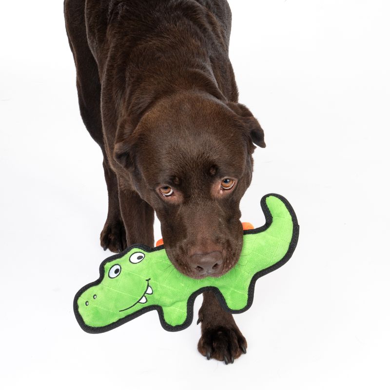 TIAKI Hundespielzeug Happy Croco Tough zu TOP-Preisen | bitiba.de
