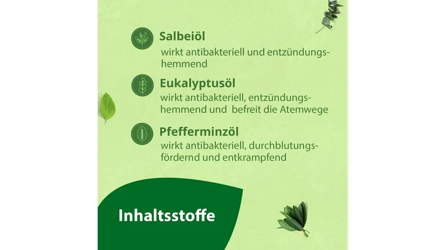 Salviagalen F Madaus Zahnpasta 75 ml
